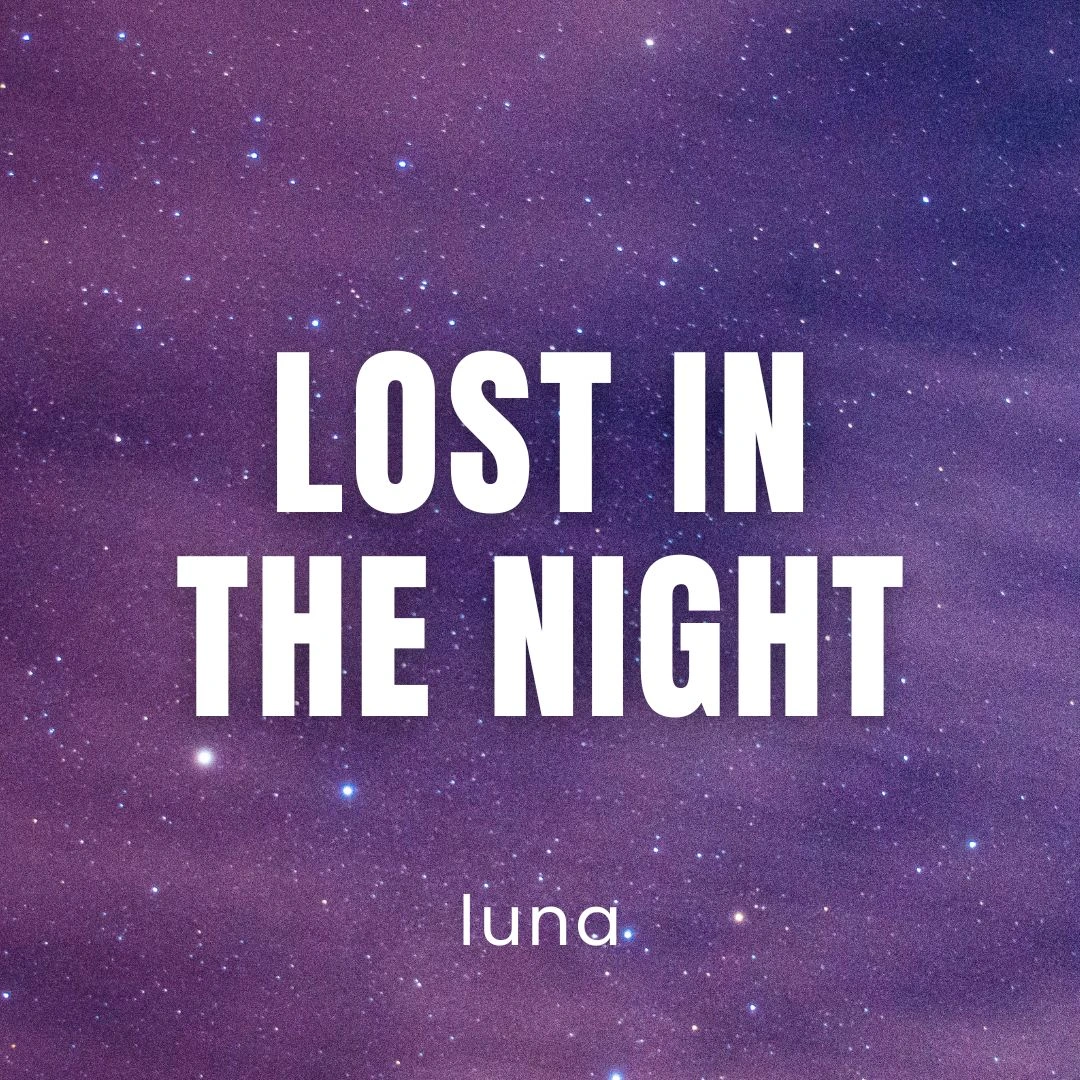 Lost In The Night